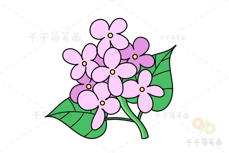 紫色丁香花简笔画