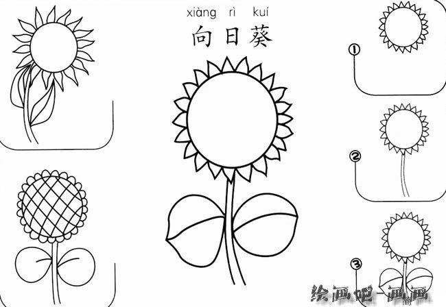 向日葵怎么画简笔画图片