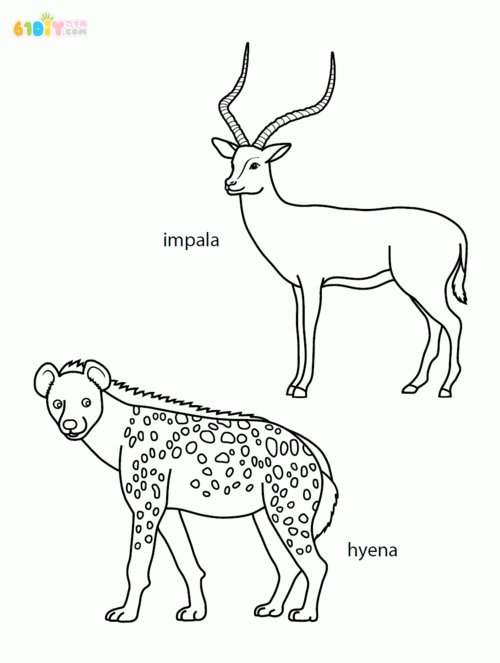 动物简笔画黑斑羚和鬣狗填色图