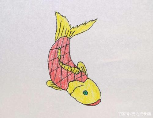 可爱动物系列一条胖鲤鱼儿童彩铅简笔画