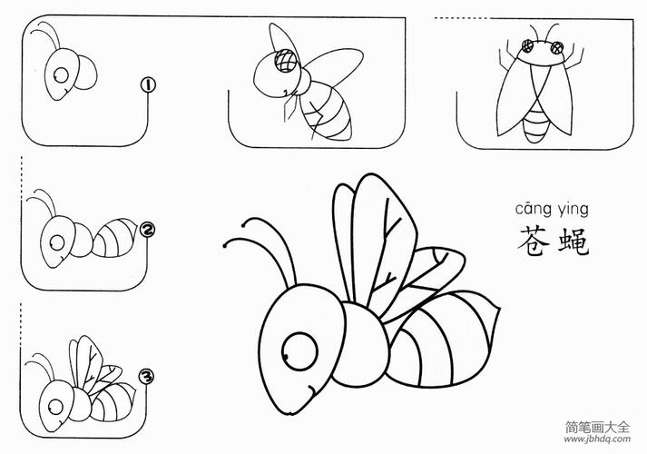 苍蝇怎么画昆虫简笔画-简笔画大全