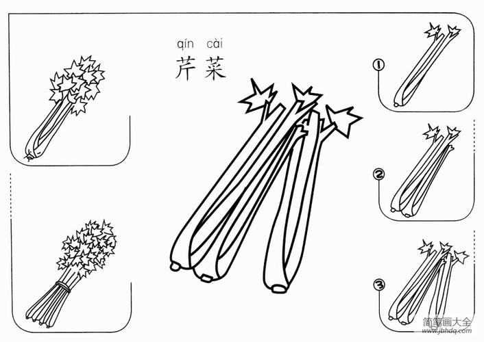 芹菜怎么画蔬菜简笔画-简笔画大全