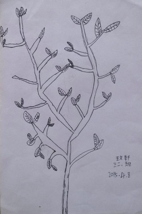 三年级美术植物简笔画