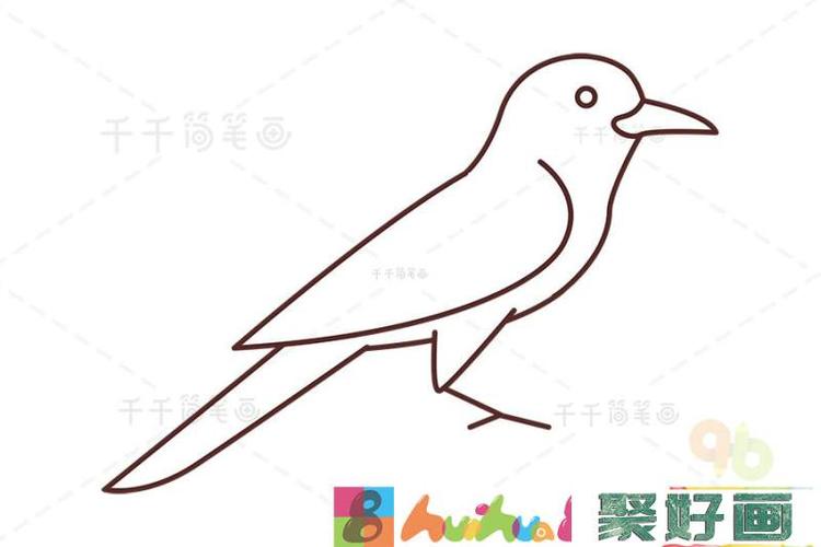 山椒鸟简笔画怎么画简笔画教程