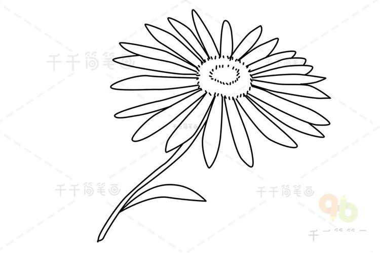 米迦勒雏菊简笔画怎么画