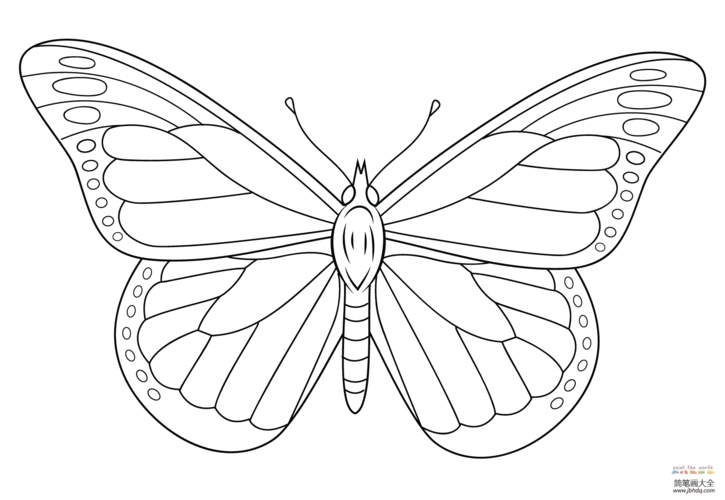 好看蝴蝶简笔画大图