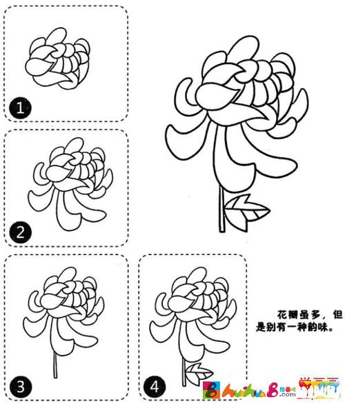 菊花简笔画的画法步骤教程