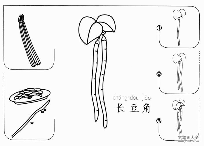 长豆角怎么画蔬菜简笔画-简笔画大全