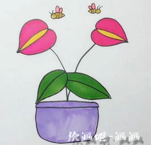 红掌简笔画图片 花卉简笔画视频教程