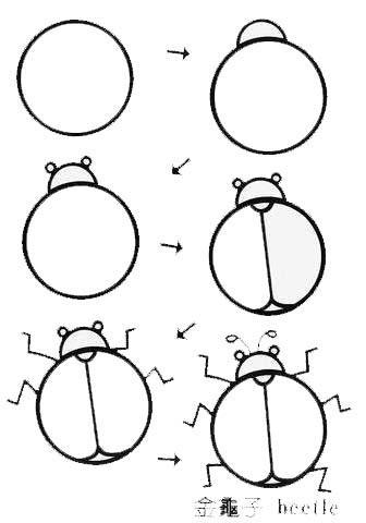 金龟子飞起来的简笔画