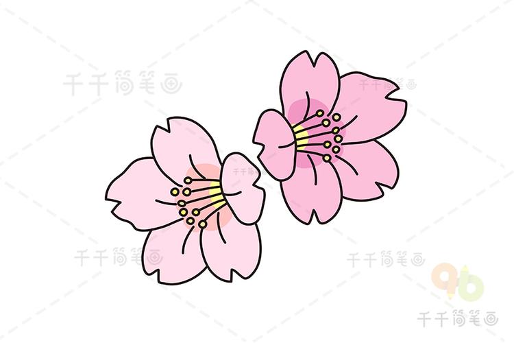 漂亮的樱花简笔画