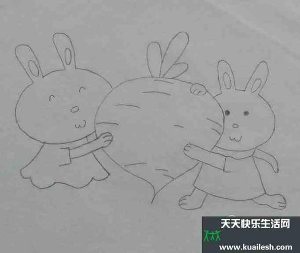 如何画小兔拔萝卜的简笔画