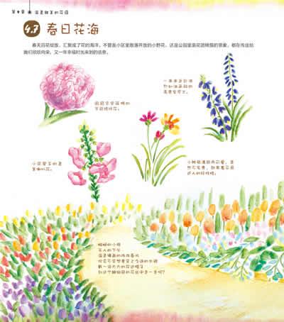 花海简笔画带颜色