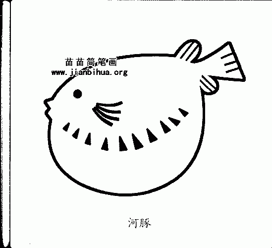 河豚简笔画与知识