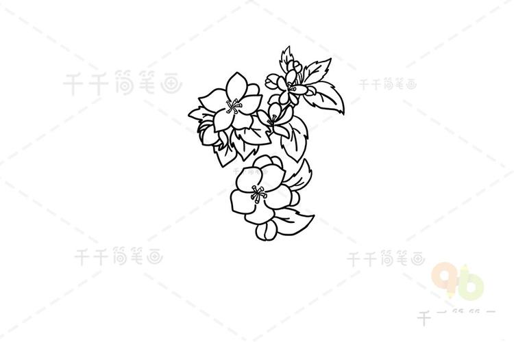 花朵简笔画 苹果花简笔画步骤图                       苹果花简笔画