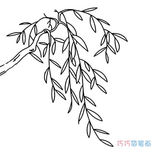 简单柳叶画法树叶简笔画图片