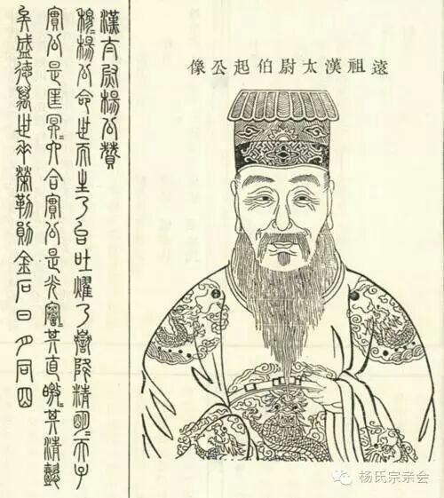 杨歌的简笔画