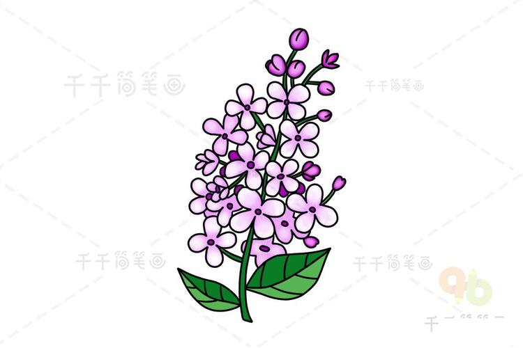 花朵画法 丁香花简笔画