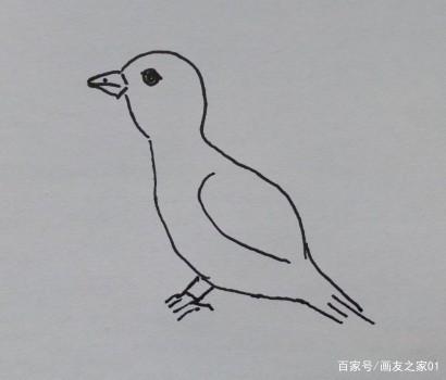 简笔画一步一步教你画一只小鸟