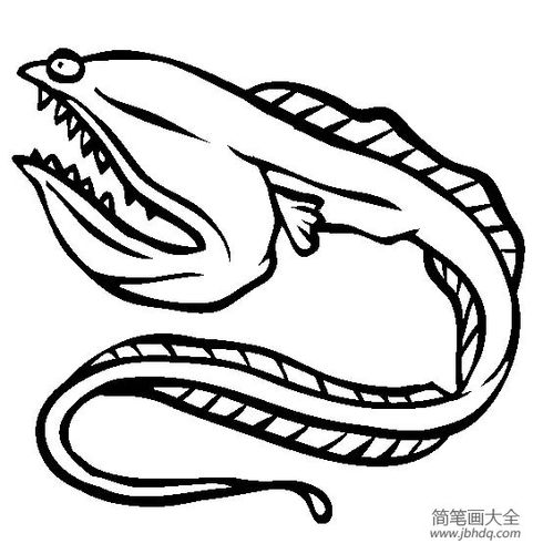 海洋生物图片吞噬鳗简笔画图片