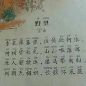 王绩野望简笔画