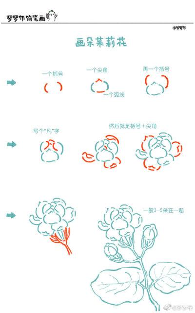 写几个括号画朵茉莉花 罗罗布简笔画有简笔画有水彩图1壁纸