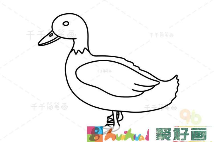 幼儿简笔画鸭子的画法怎么画简笔画教程