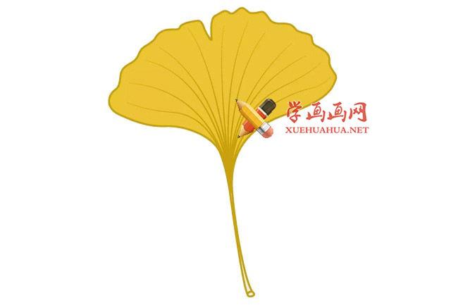 银杏的简笔画画法教程彩色植物大树花草系列植物简笔画大全