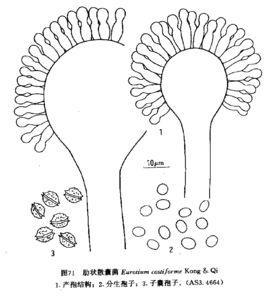 散的简笔画