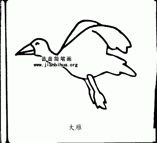 大雁简笔画和知识