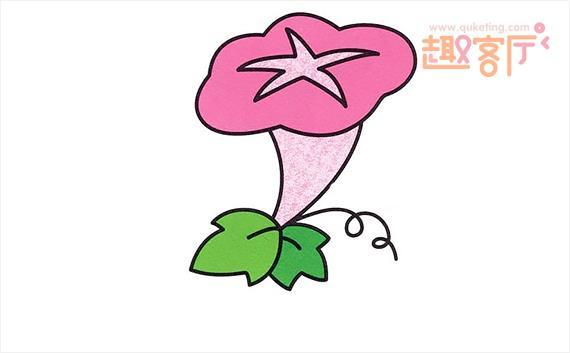 牵牛花图片简笔画彩铅牵牛花绘画图片