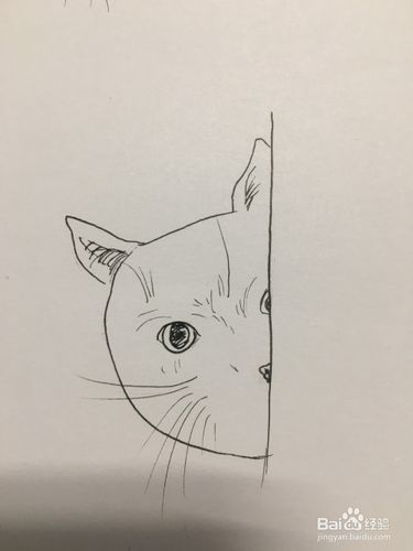 画三只小猫的头像 画猫咪 简笔画 线描画 手绘