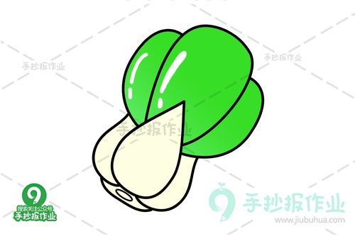 小白菜简笔画