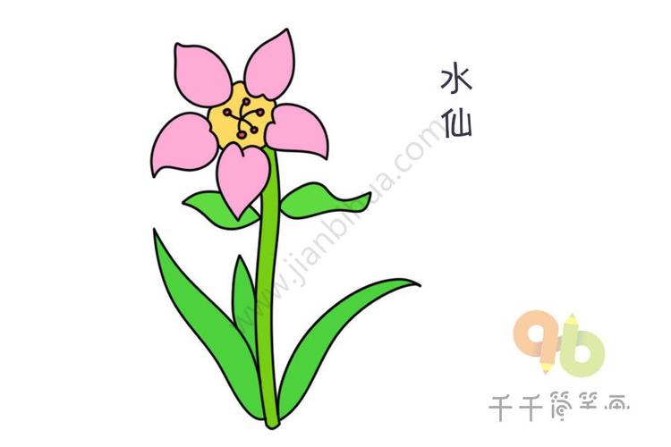 漂亮的水仙花简笔画