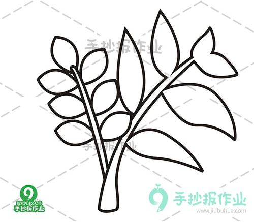 植物小草简笔画