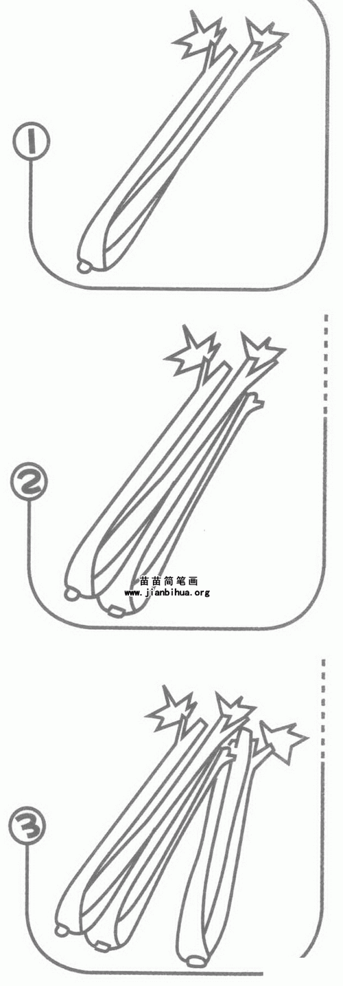 芹菜简笔画图片大全