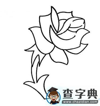 简笔画花玫瑰的营养价值