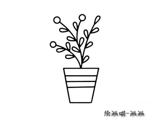 盆栽花草的画法简笔画图片