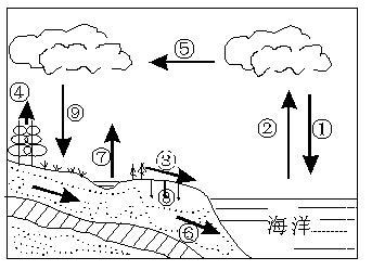 水循环示意图简笔画小学生