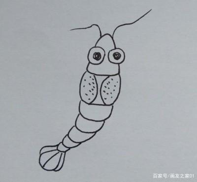 简笔画教程如何一步一步画一只小龙虾简单易学