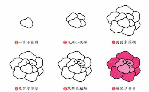 牡丹花简笔画植物花牡丹花植物花简笔画步骤图片大全