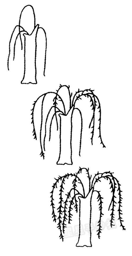 柳树简笔画图片画法