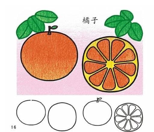 橘子植物简笔画-e学堂