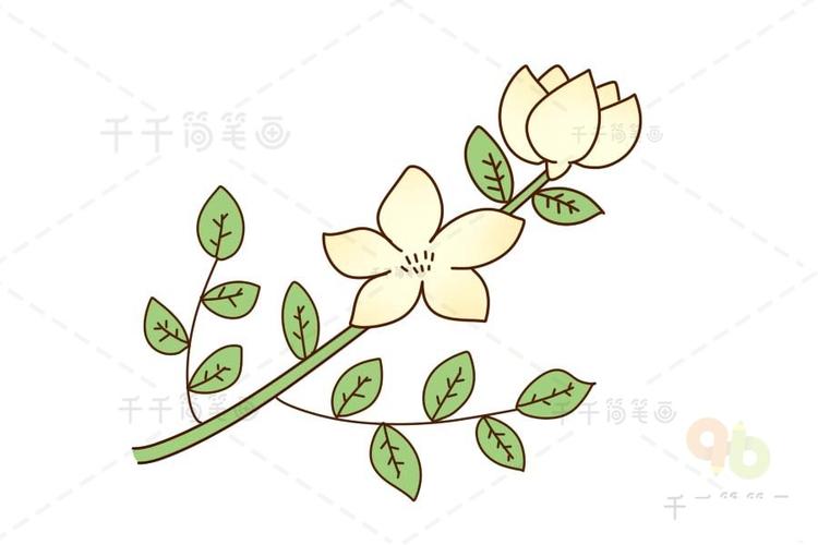 茉莉花简笔画