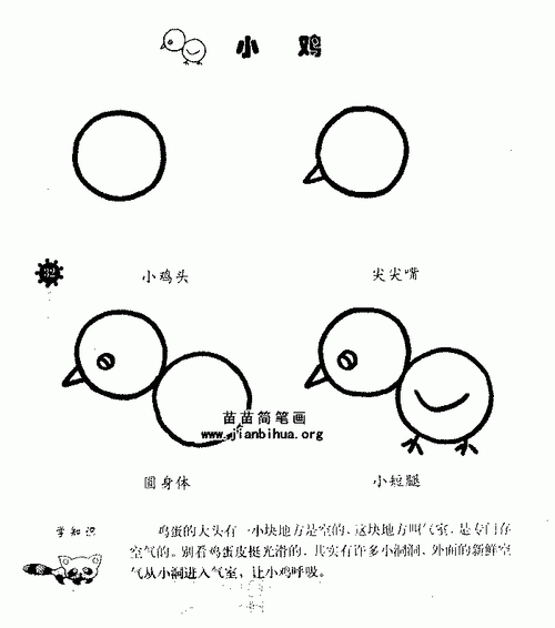 小鸡简笔画怎么画图解教程