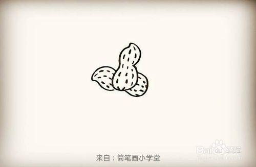 怎么画花生的简笔画