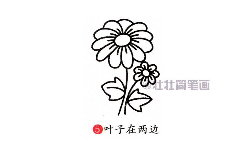  菊花简笔画