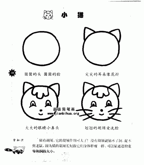 小猫简笔画怎么画图解教程 - 儿童简笔画大全