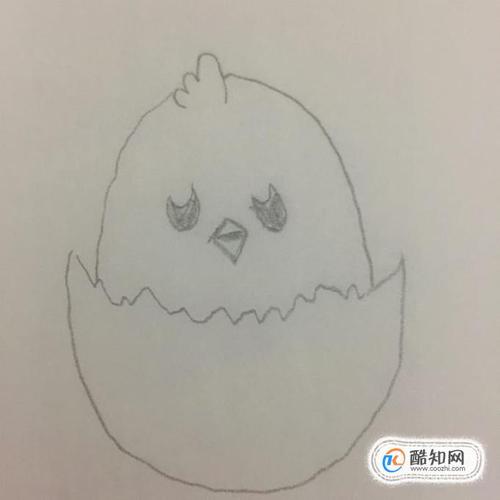 少儿简笔画小鸡怎么画优质