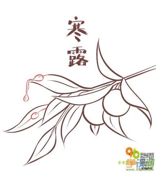 24节气的简笔画教程寒露